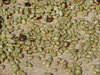 Parchment Coffee Drying in the Sun on Concrete